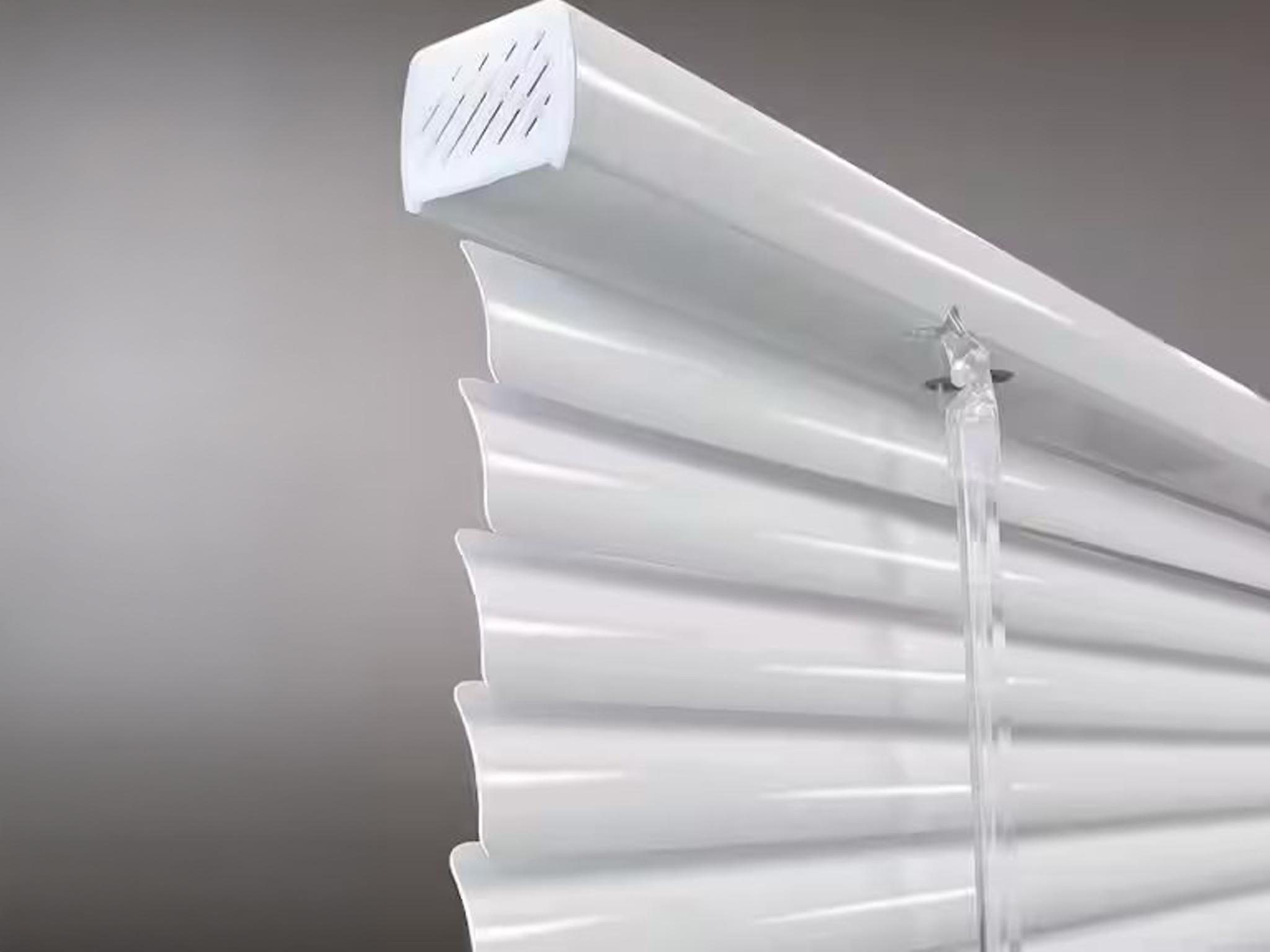 cat-mini-blinds-2