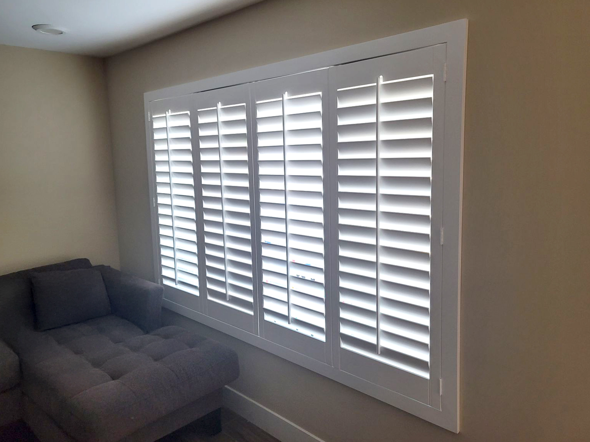 cat-shutters-2
